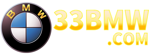 33BMW Logo